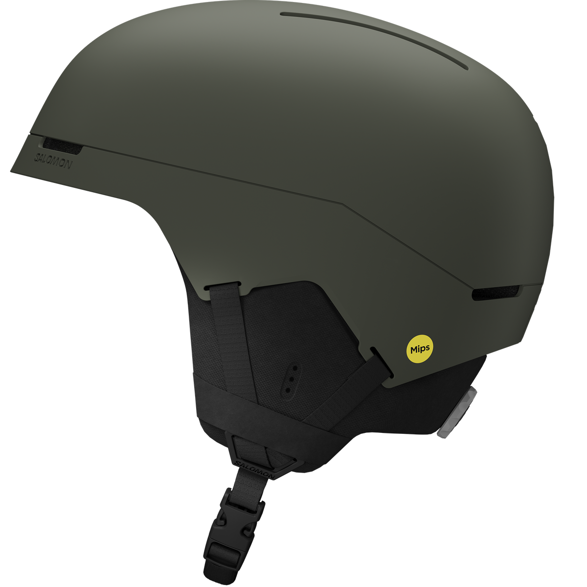 BRIGADE INDEX MIPS