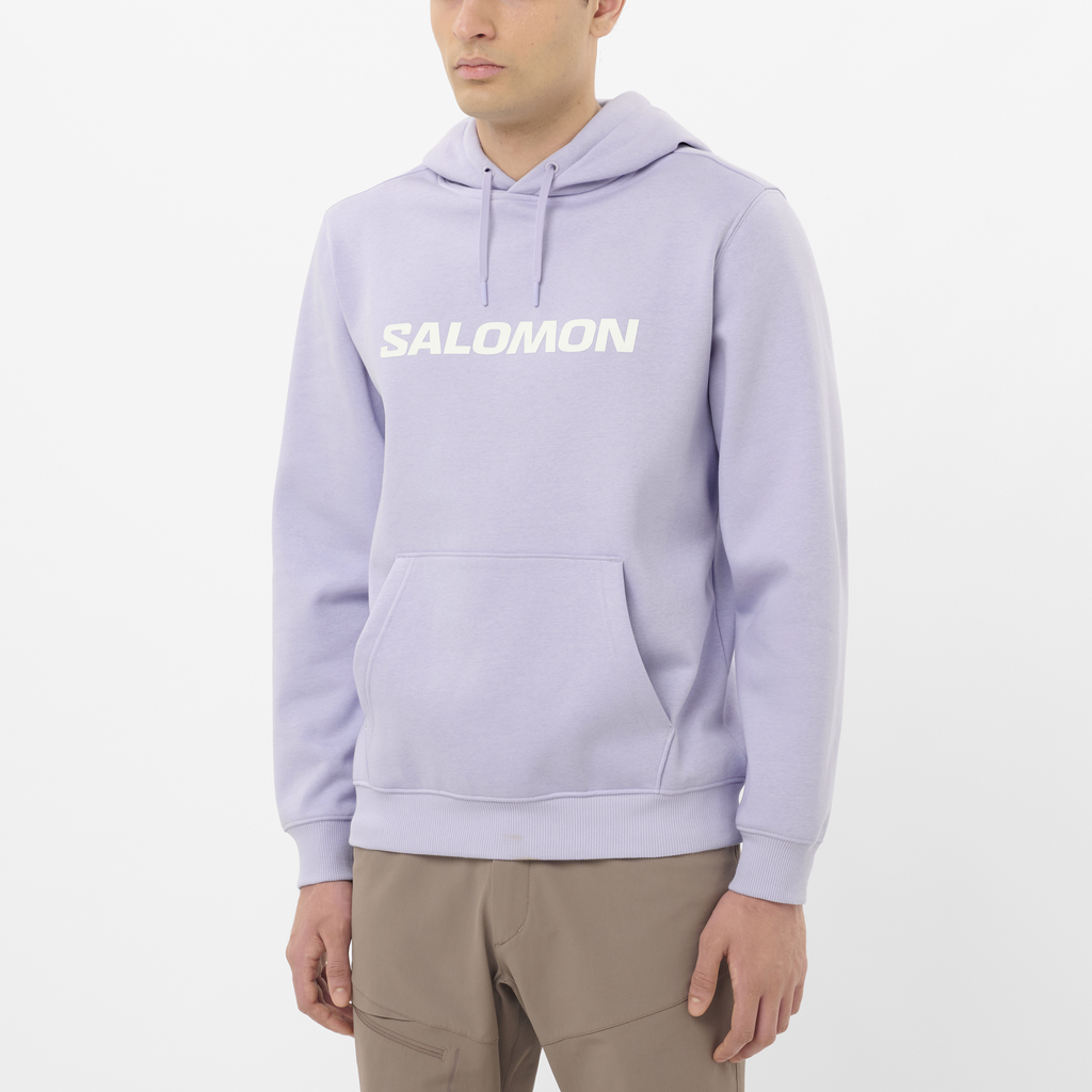 SALOMON LOGO