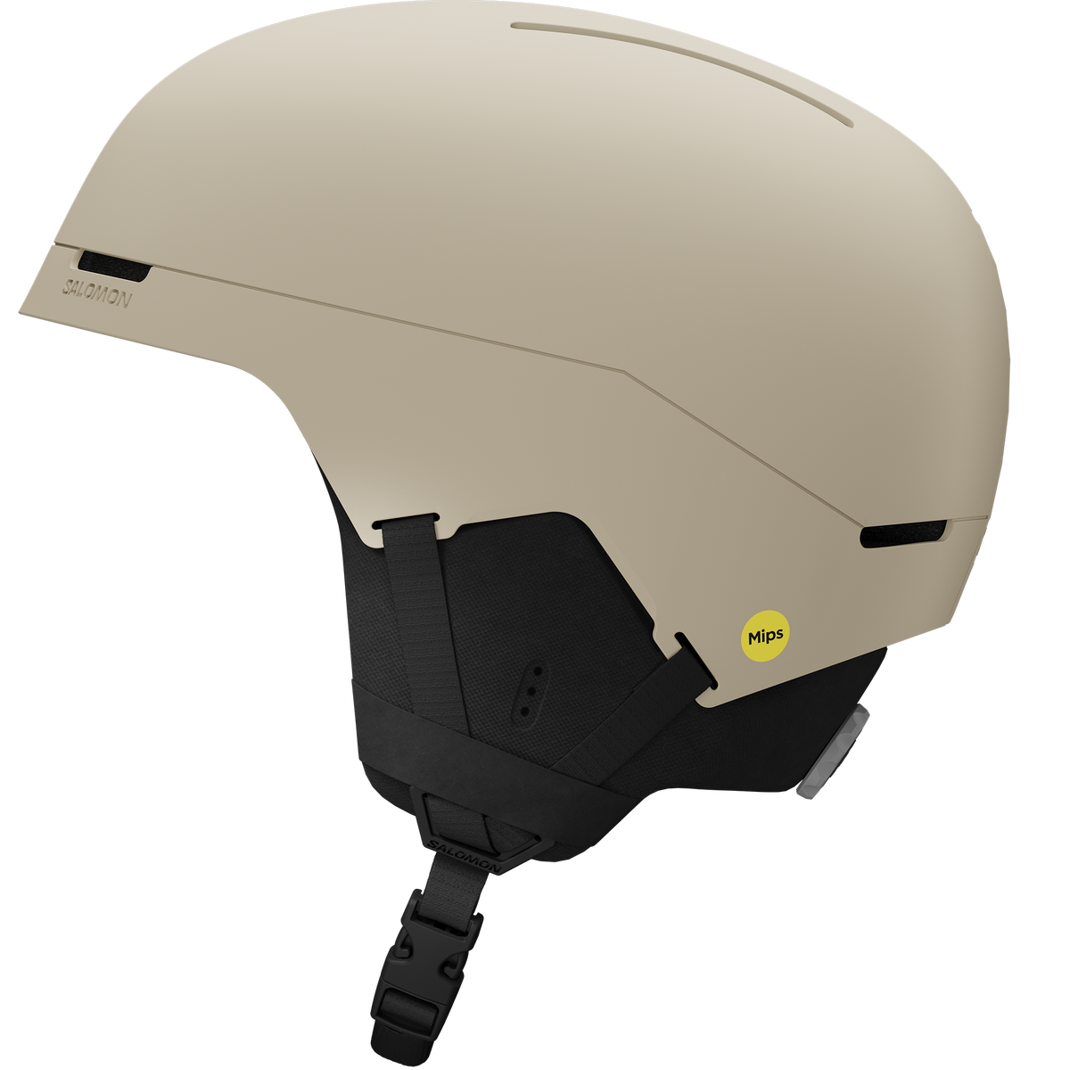 BRIGADE INDEX MIPS