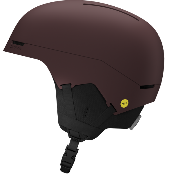BRIGADE INDEX MIPS