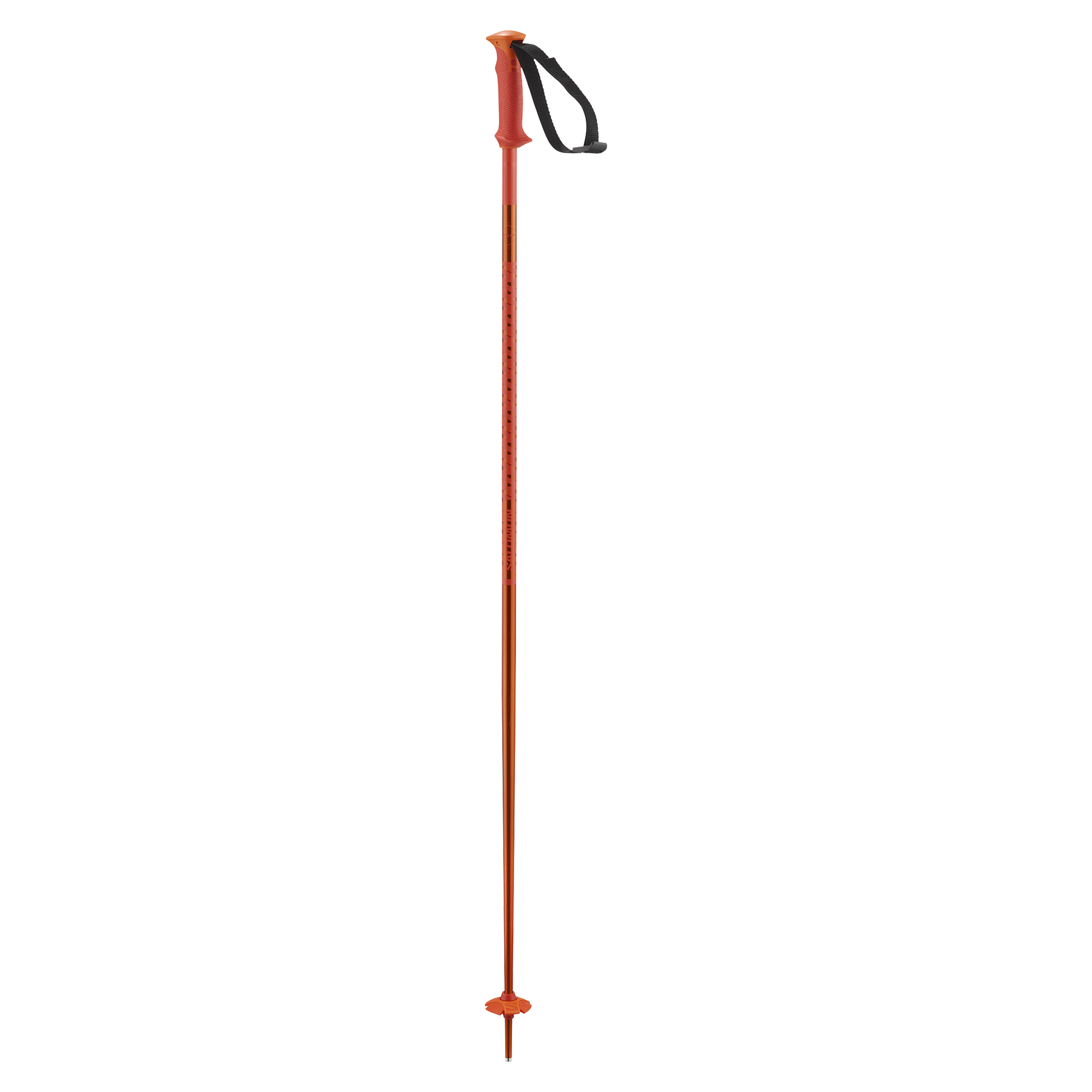 POLAR Secondary image